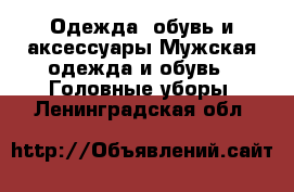 Одежда, обувь и аксессуары Мужская одежда и обувь - Головные уборы. Ленинградская обл.